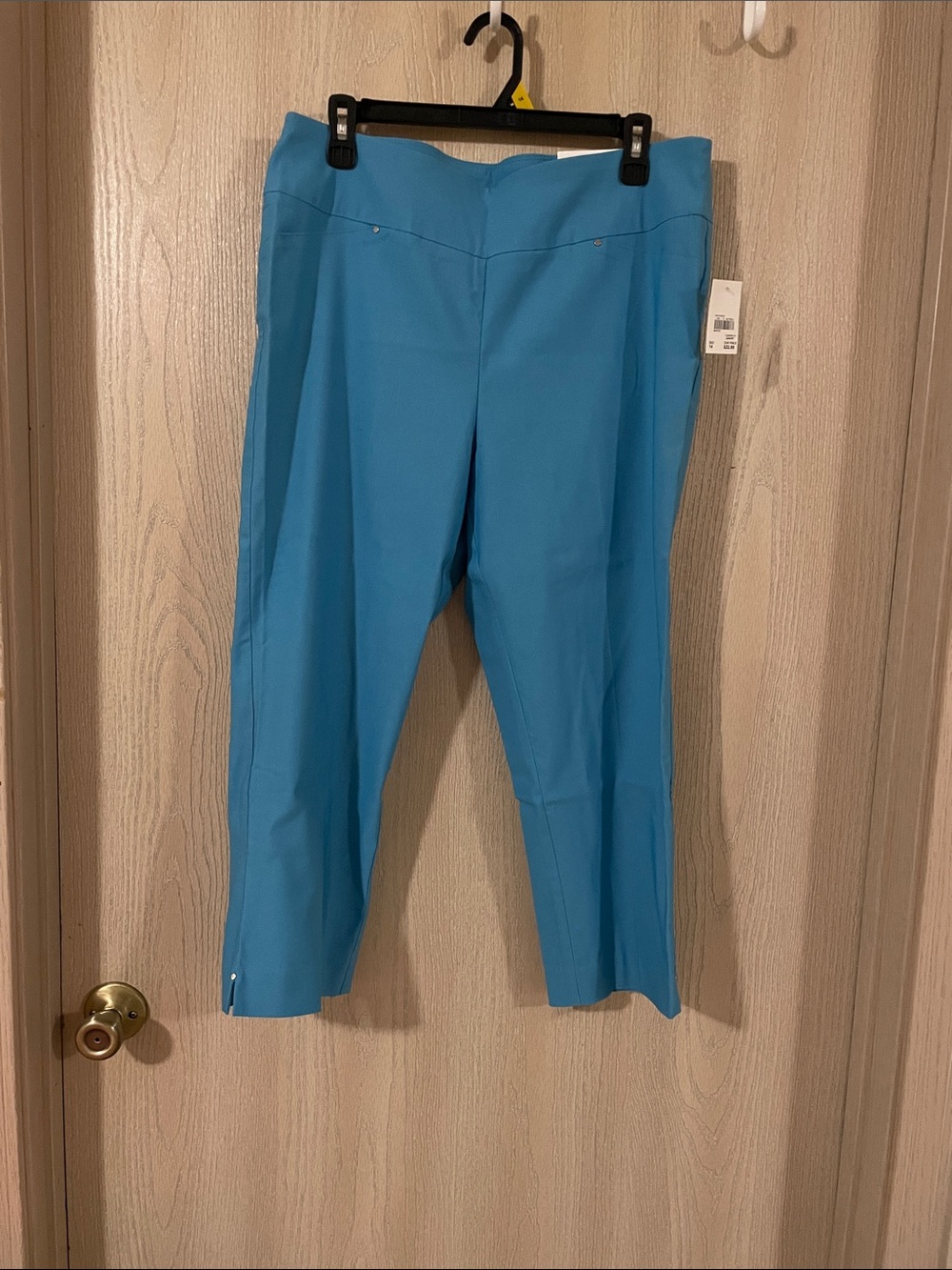 Cato Turquoise Pull-On Capri Pants